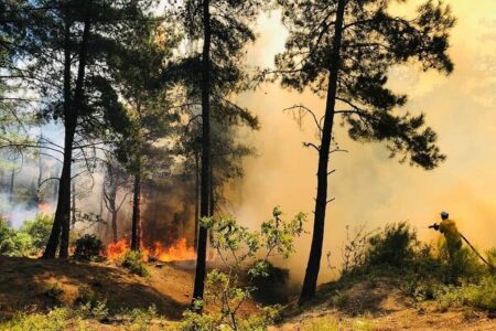 مدیرکل منابع طبیعی و آبخیزداری هرمزگان: آتش‌سوزی به عنوان تهدید جدی در کمین مراتع و جنگل‌های هرمزگان است