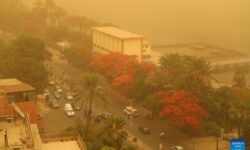 توفان شن در مصر قربانی گرفت+ ویدئو
