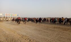 برگزاری مسابقات اسب دوانی در بندزرک میناب