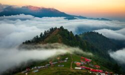 برگزاری نخستین جشنواره ثبت جهانی جنگل ابر در شاهرود