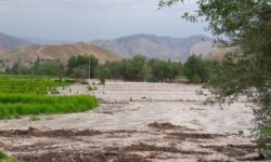 خسارت ۲۰ میلیارد تومانی سیلاب به کشاورزی بخش لیردف جاسک