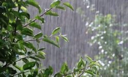 تشدید بارش‌ باران در روزهای پایانی فصل تابستان