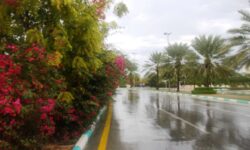 میزان بارندگی‌ها در کیش ۱.۵ برابر افزایش یافت
